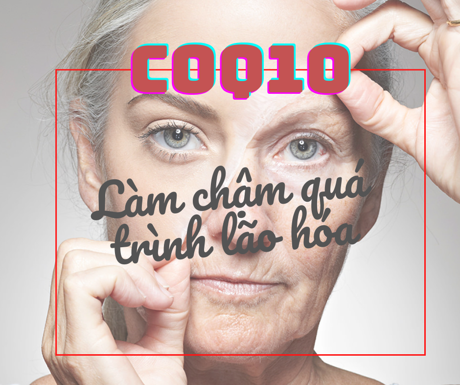 CoQ10 làm chậm quá trình lão hóa 