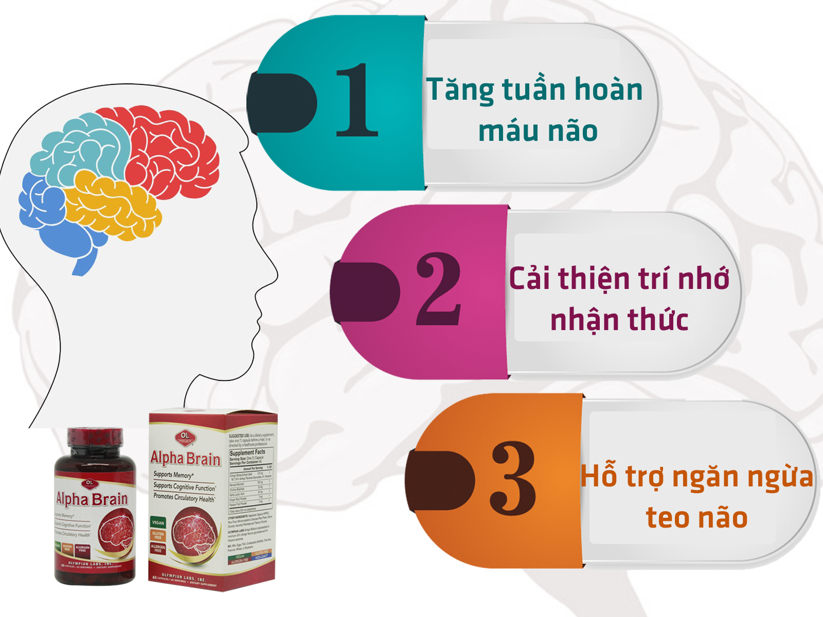 Alpha Brain được đánh giá là sản phẩm hàng đầu trên thị trường hiện nay với công dụng tăng tuần hoàn máu não hiệu quả