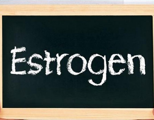 Suy giảm Estrogen là một trong những nguyên nhân chính gây ra bệnh phụ khoa