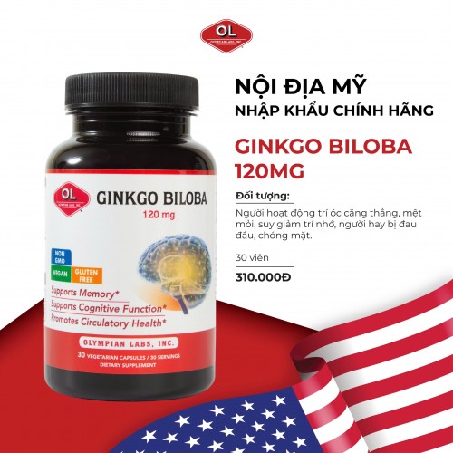 Ginkgo Biloba 120mg - Viên uống bổ não