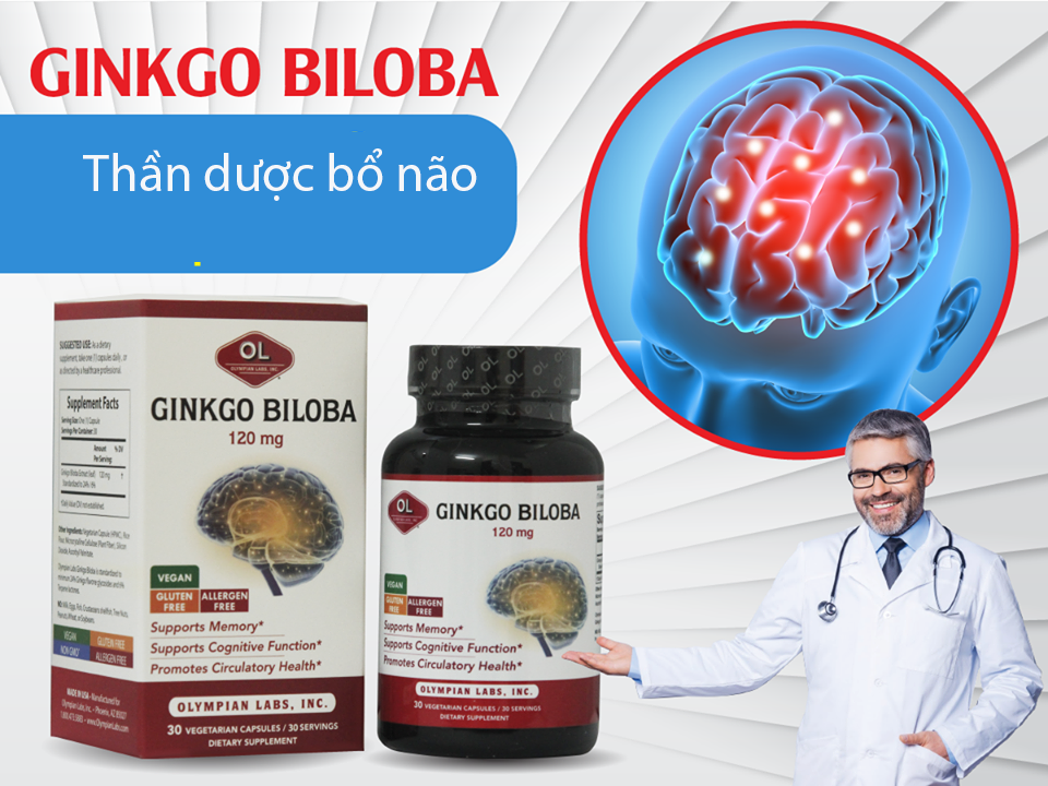 Ginkgo Biloba 120mg được xem là thần dược cho não bộ