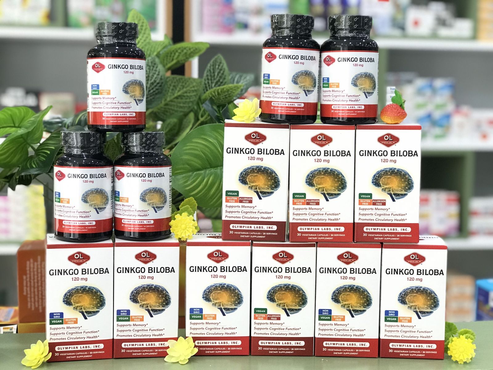 Điểm danh 5 công dụng của ginkgo biloba 120mg Olympian Labs