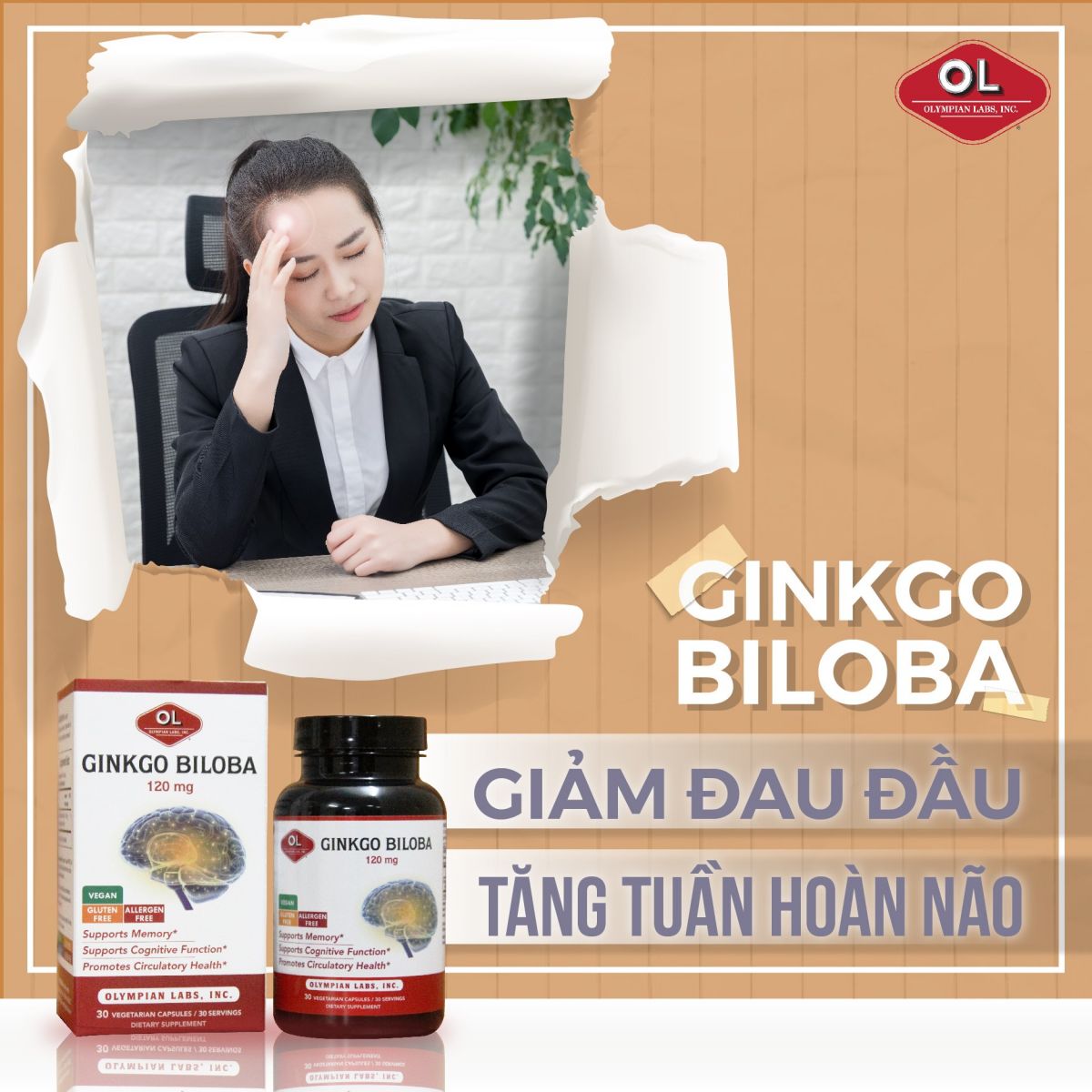 Các công dụng của Ginkgo Biloba 120mg Olympian Labs