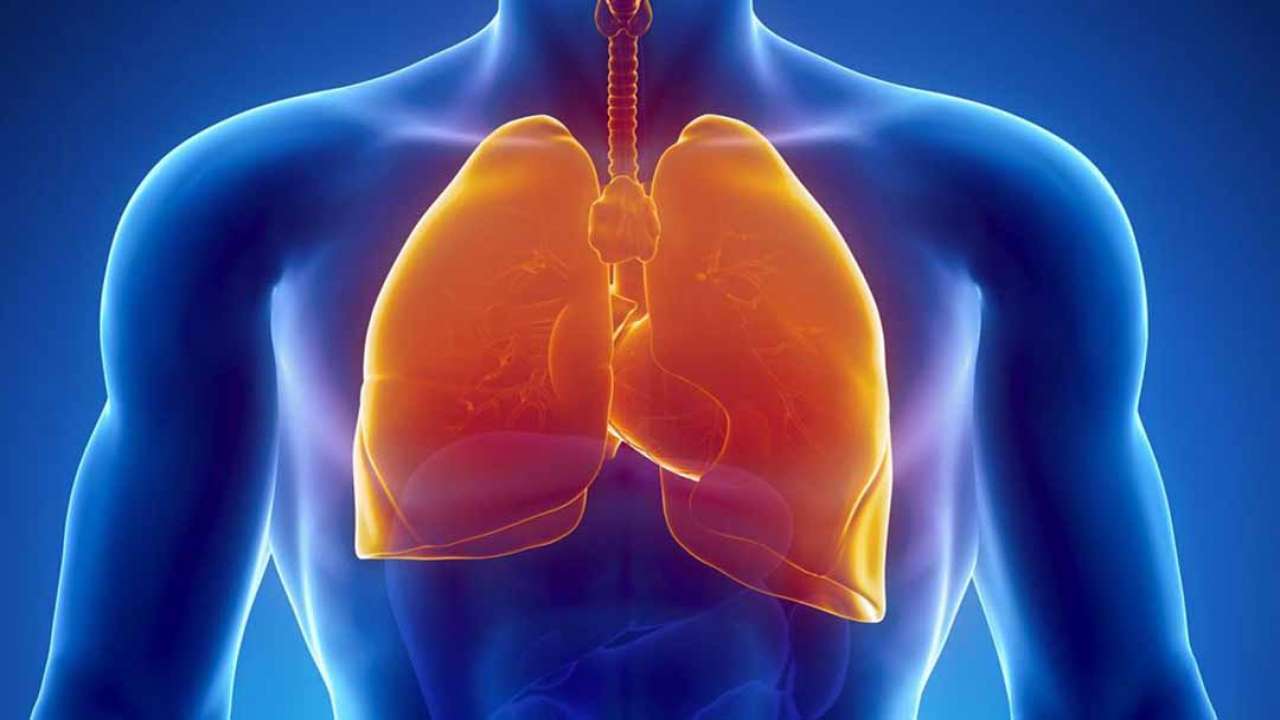 Đau sau lưng vùng phổi là trạng thái đau nhức âm ỉ hoặc đau nhói kéo dài vùng lưng ngay phía sau vị trí của hai lá phổi