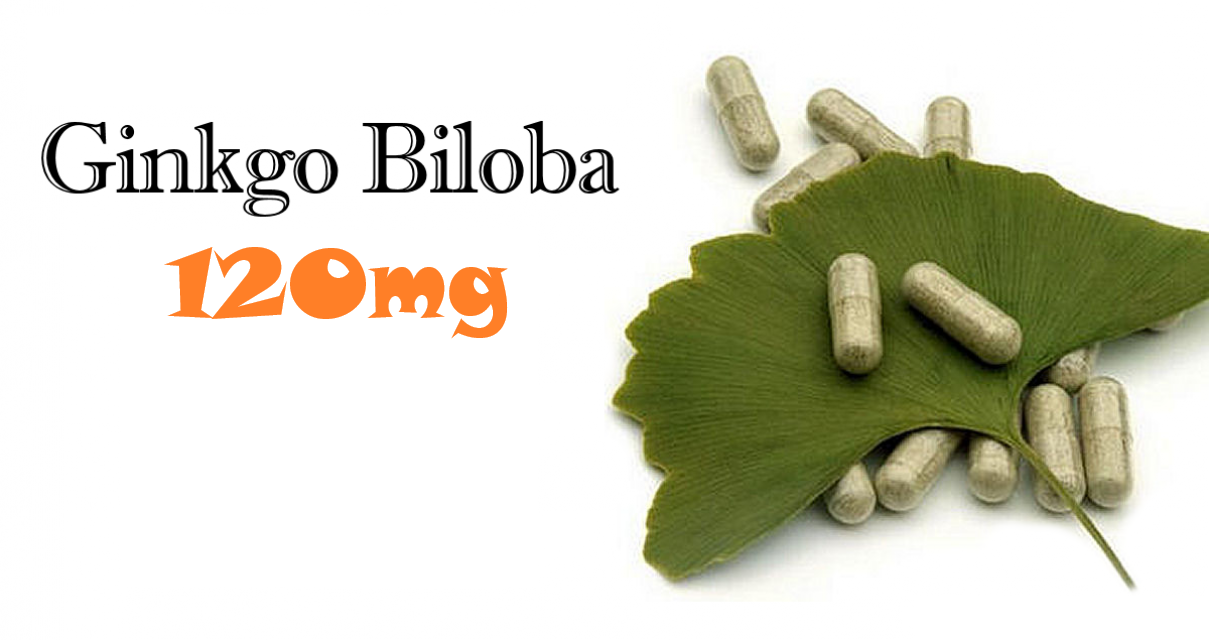 Ginkgo Biloba 120mg là gì