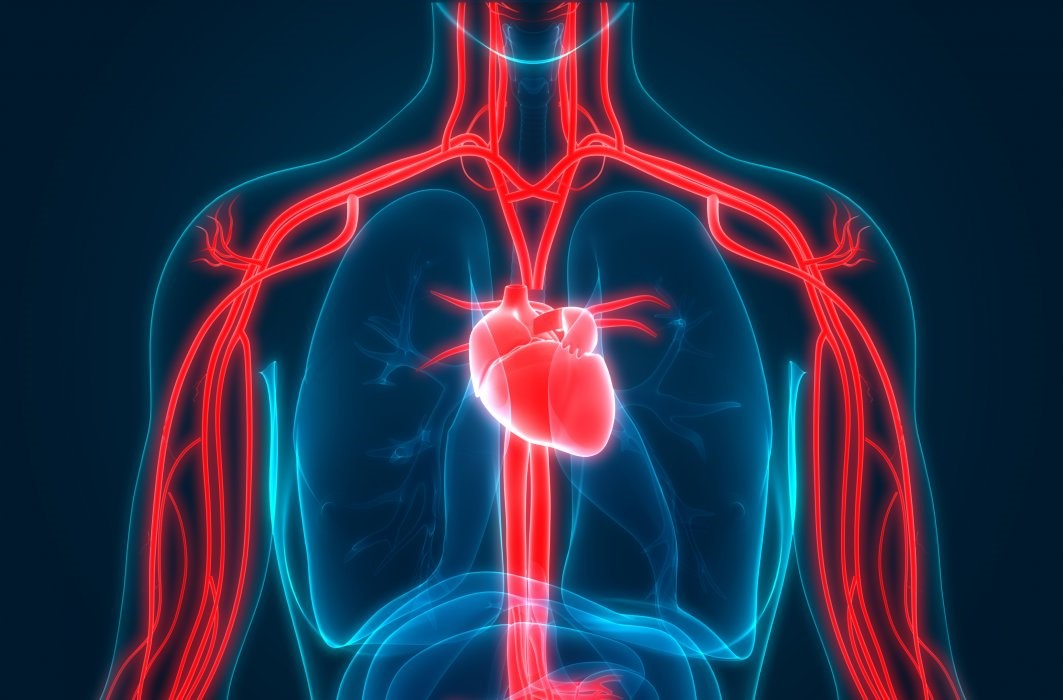 ginkgo biloba 120mg ngày uống mấy viên - Cải thiện lưu thông máu và sức khỏe tim mạch