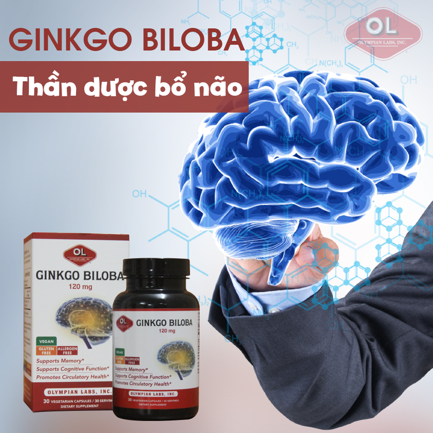 Ginkgo Biloba 120mg có nhiều công dụng đối với não bộ