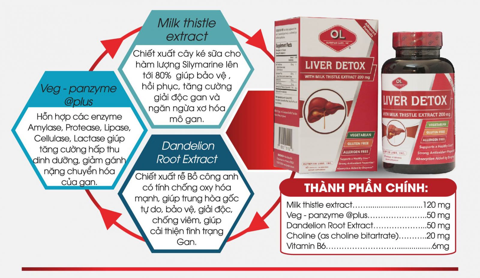 Liver Detox - Hỗ trợ điều trị gan nhiễm mỡ độ 2