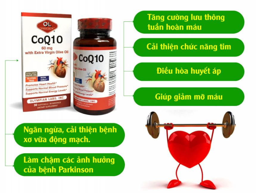Lợi ích của CoQ10