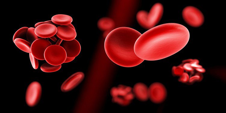 Rối laojn đông máu do suy giảm chức năng gan