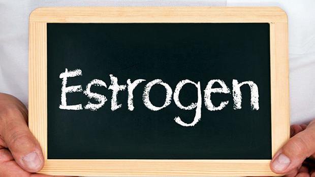 vai trò của estrogen 